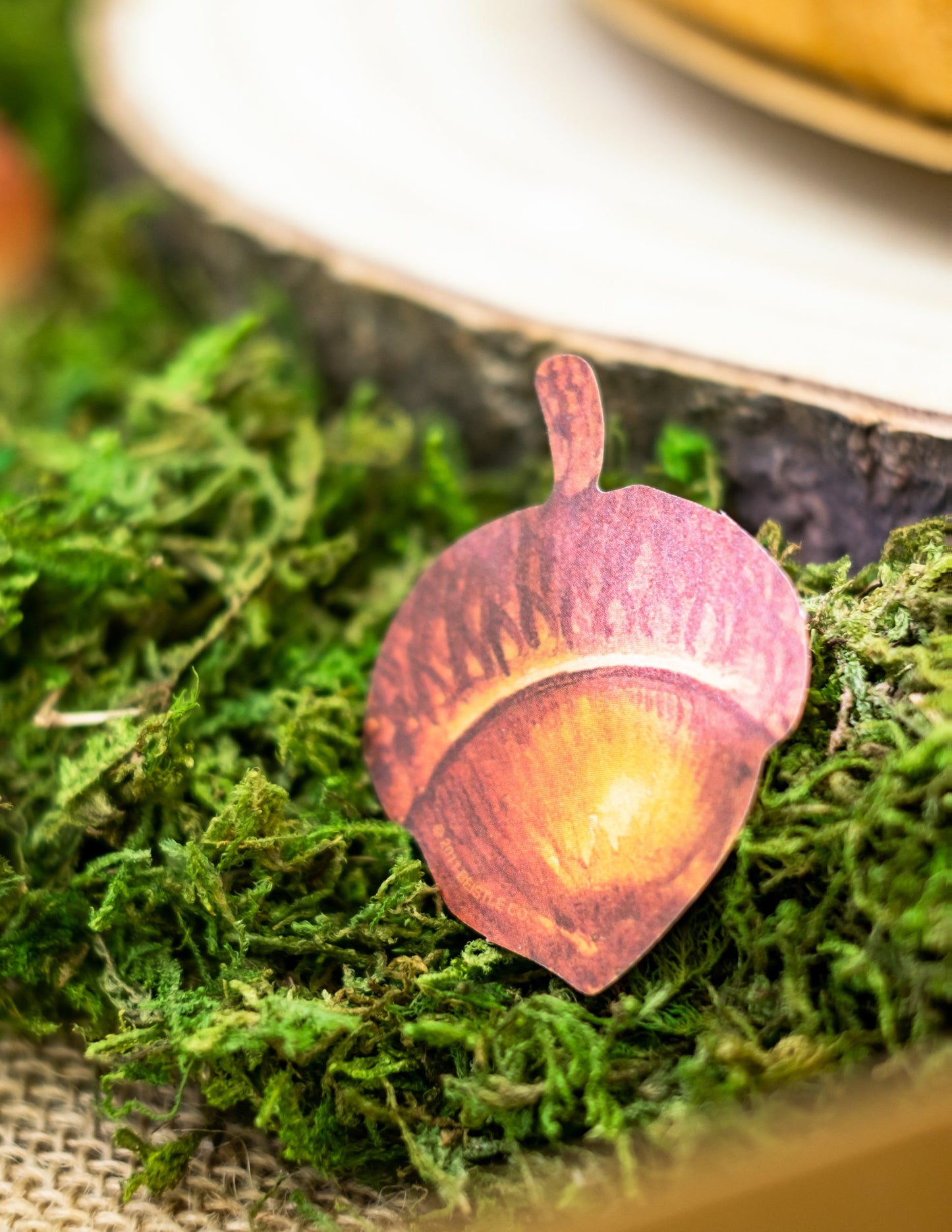 Set de 11 frunze de toamnă din carton 