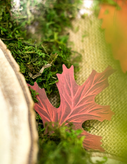 Set de 11 frunze de toamnă din carton 