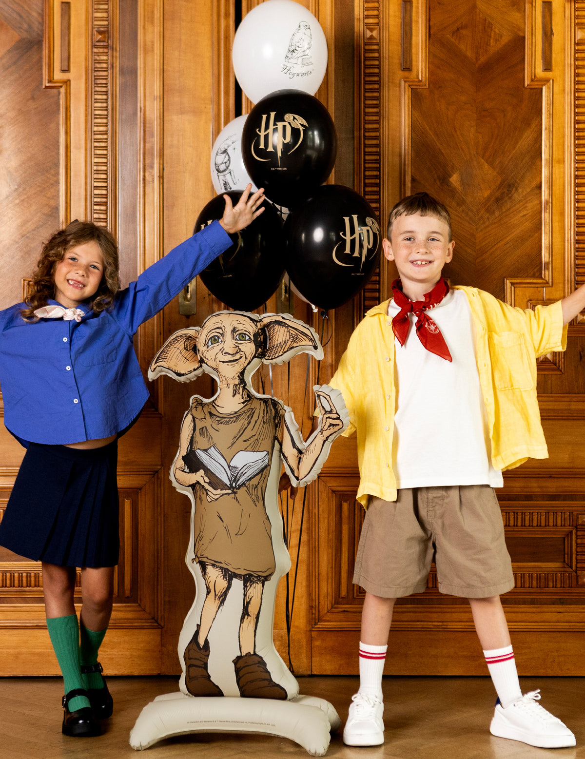 Balon din aluminiu cu suport Harry Potter™ Dobby 54x105 cm