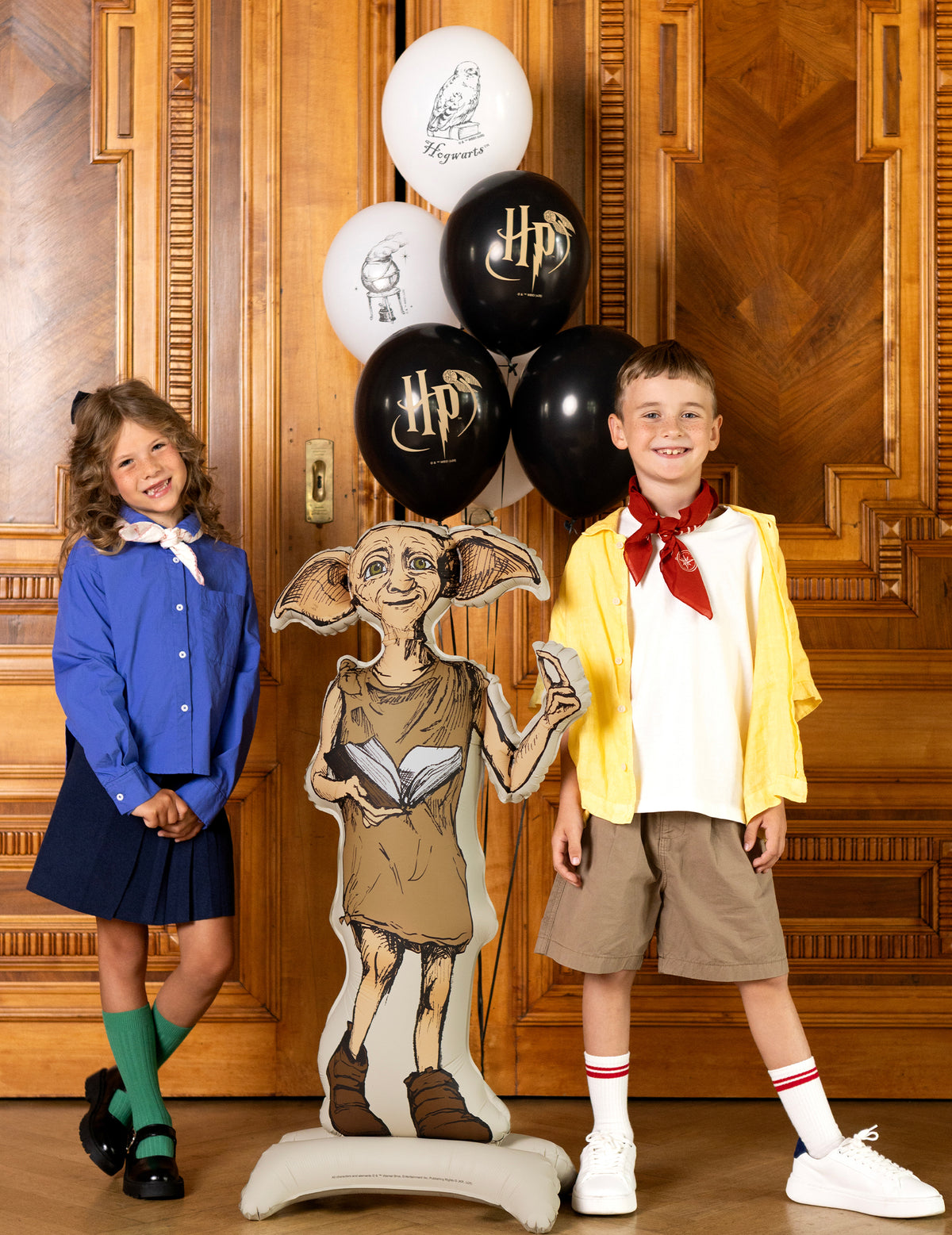 Balon din aluminiu cu suport Harry Potter™ Dobby 54x105 cm