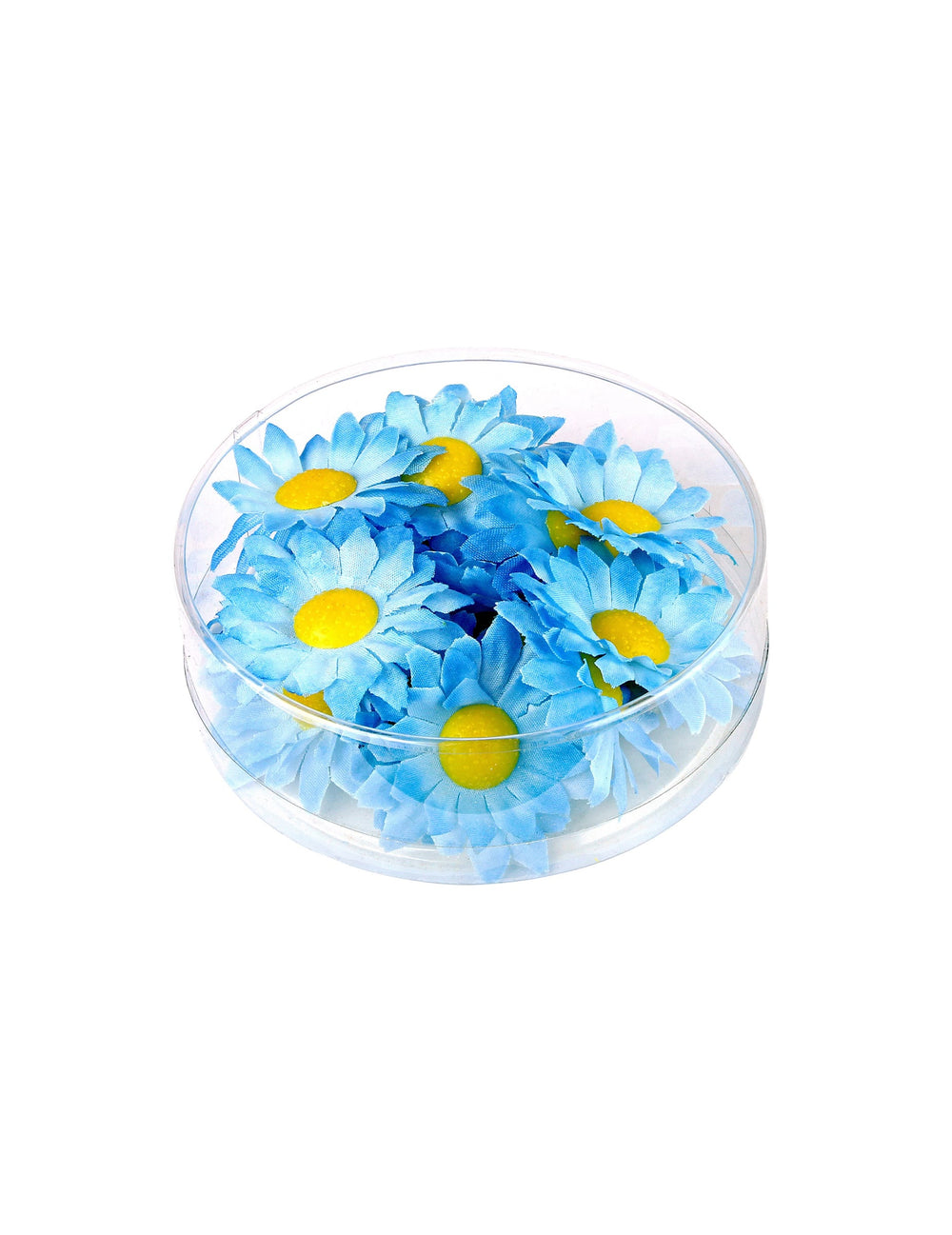 Fleurs marguerites pour décoration bleues en boîte de 20