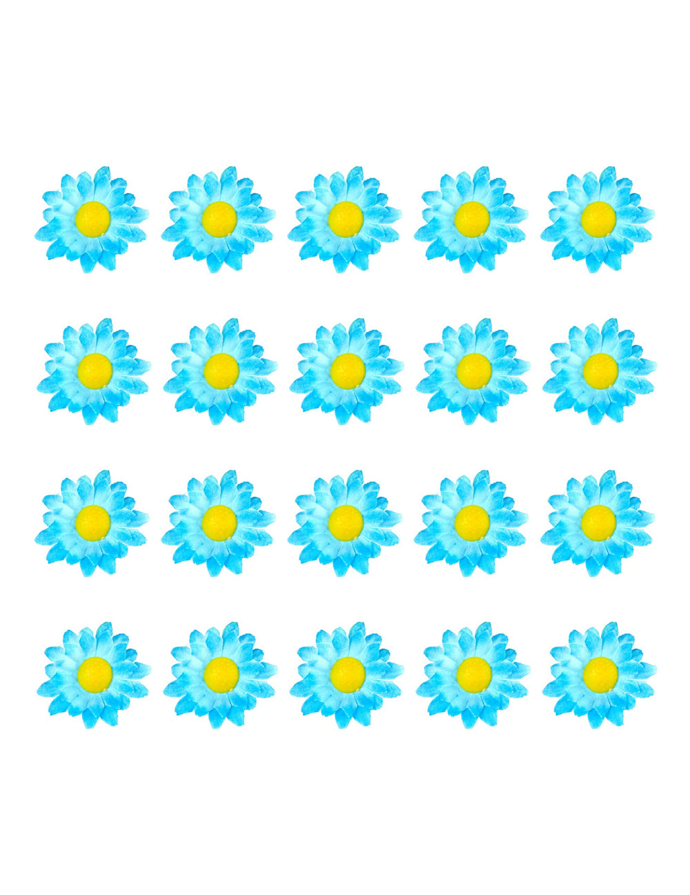 Vue d'ensemble des 20 unités des fleurs marguerites pour décoration