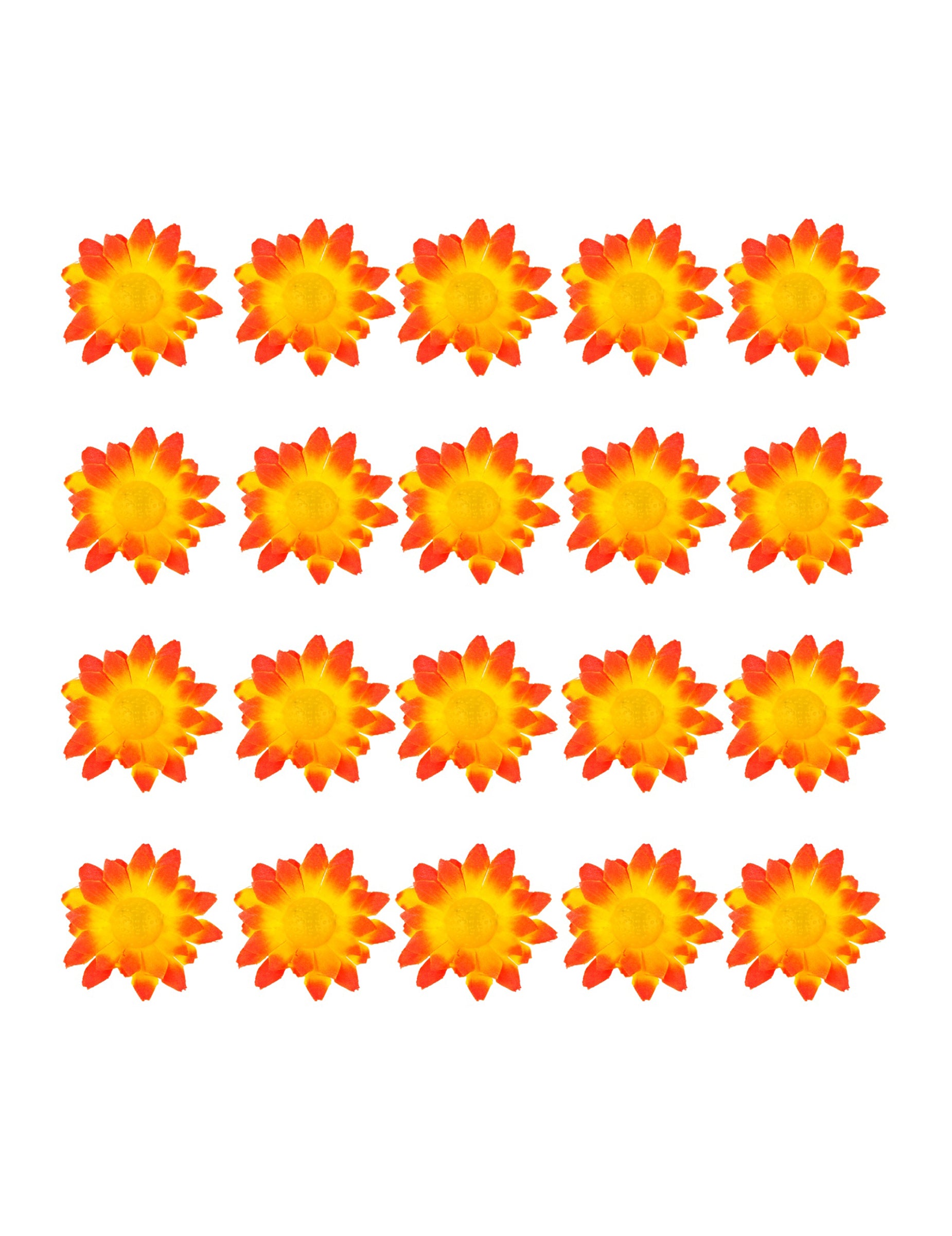 Vue d'ensemble du contenu de la boite de 20 fleurs marguerite jaune orangé