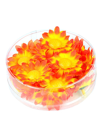 Cutie de 20 de flori de margarete galben-portocaliu