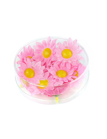 Cutie de 20 de flori de margarete roz deschis