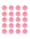 Cutie de 20 de flori de margarete roz deschis