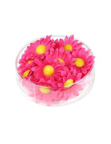 Cutie cu 20 de flori de margarete roz