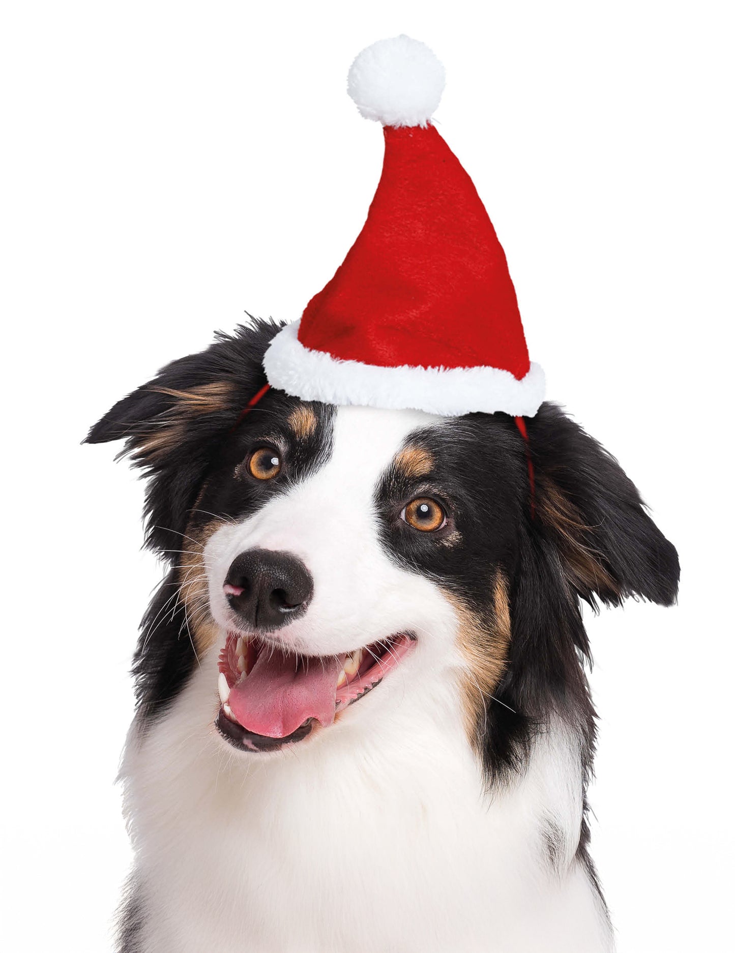 Pălărie de Crăciun pentru animale de companie