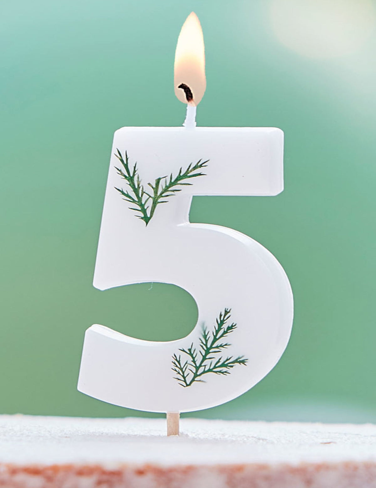 Numéro 5 de la bougie chiffre feuilles naturelles pour anniversaire