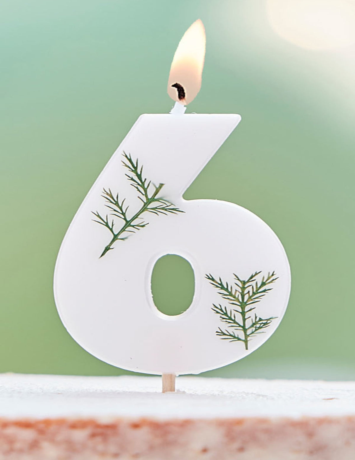 Numéro 6 de la bougie chiffre feuilles naturelles pour anniversaire