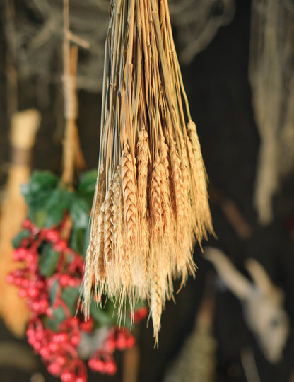 Buchet de urechi naturale de grâu 60 cm
