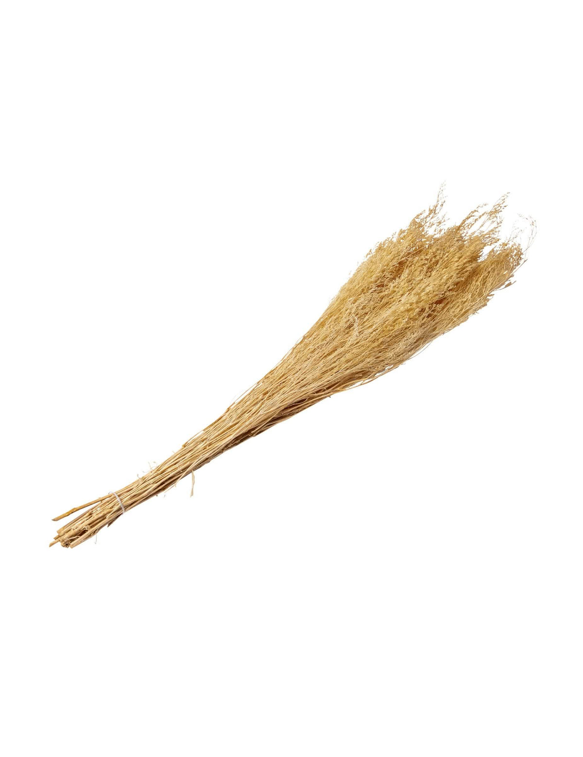 Buchet de crenguțe uscate în stil boem bej natural