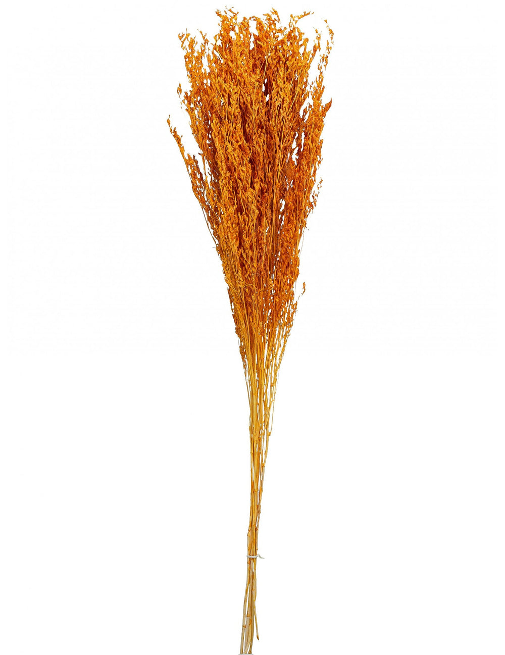 Bouquet de broom séché terracotta pour décoration de fête orange