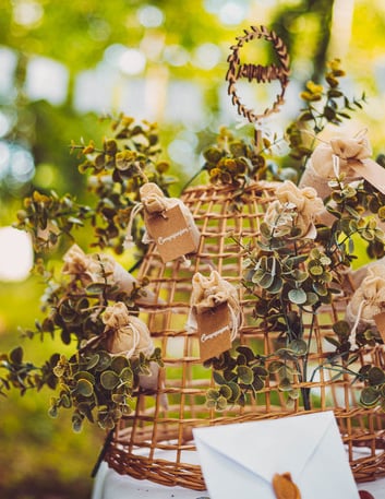 Mise en scène sur une cloche en osier du bouquet de feuilles d'eucalyptus végétal pour décoration vert