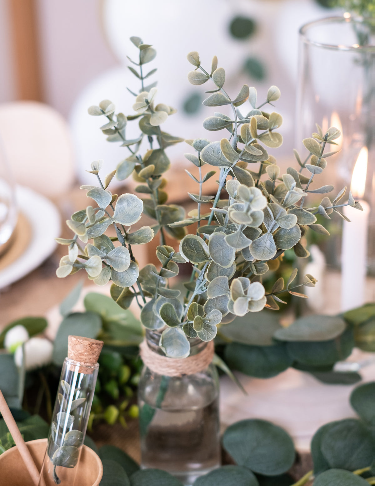 Mise en scène dans un bocal du bouquet de feuilles d'eucalyptus pour décoration végétale