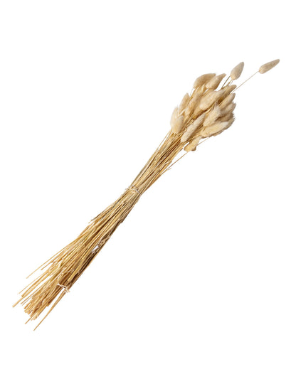 Bouquet lagurus plumeaux décoration mariage pour fête crème