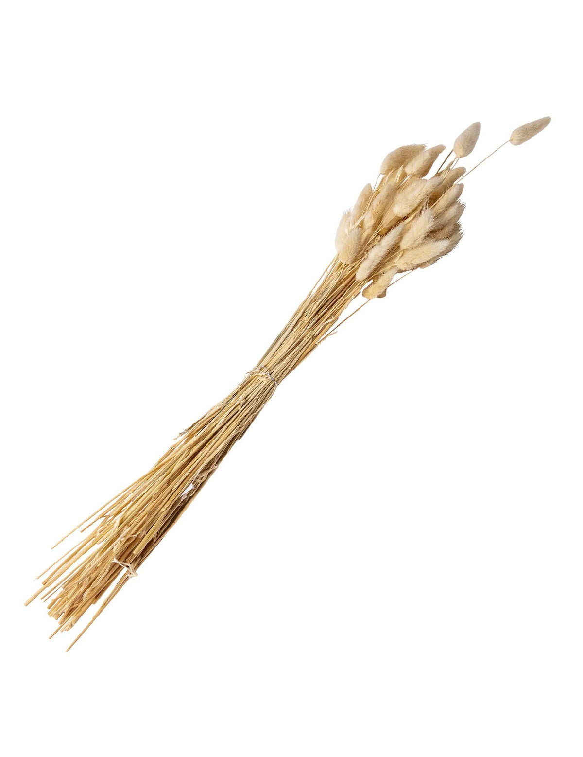 Buchet de lagurus, pene de decorare pentru nuntă, crem