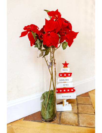 Red Poinsettia Flower Flower 75 cm