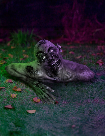 Halloween Dimensiune reală Bust decorativ Zombie 66 x 30 cm