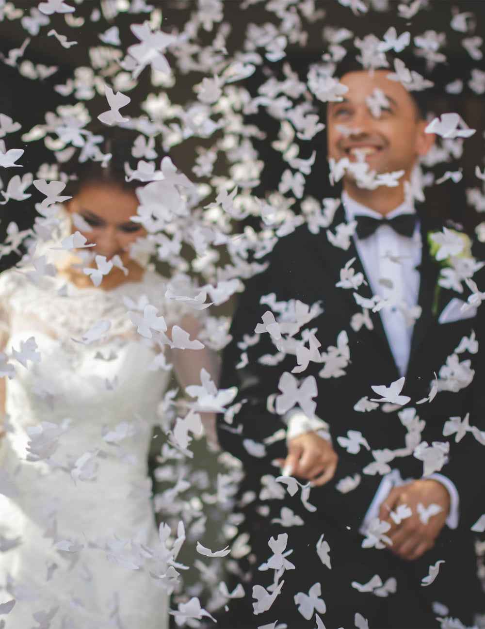 Effet de pluie de confettis du canon à confettis papillons blancs