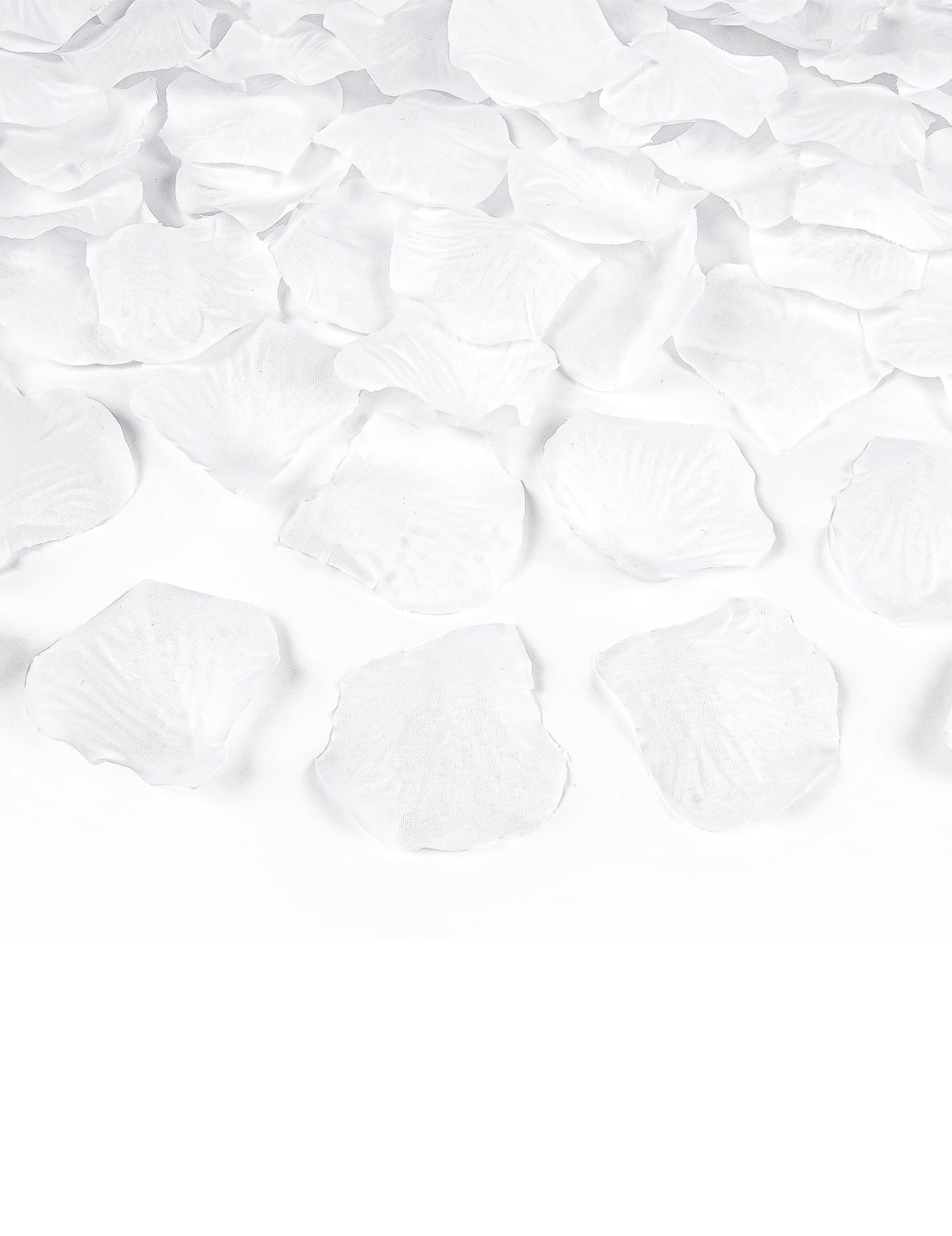 Gros plan sur les pétales du canon à confettis pétales blanc