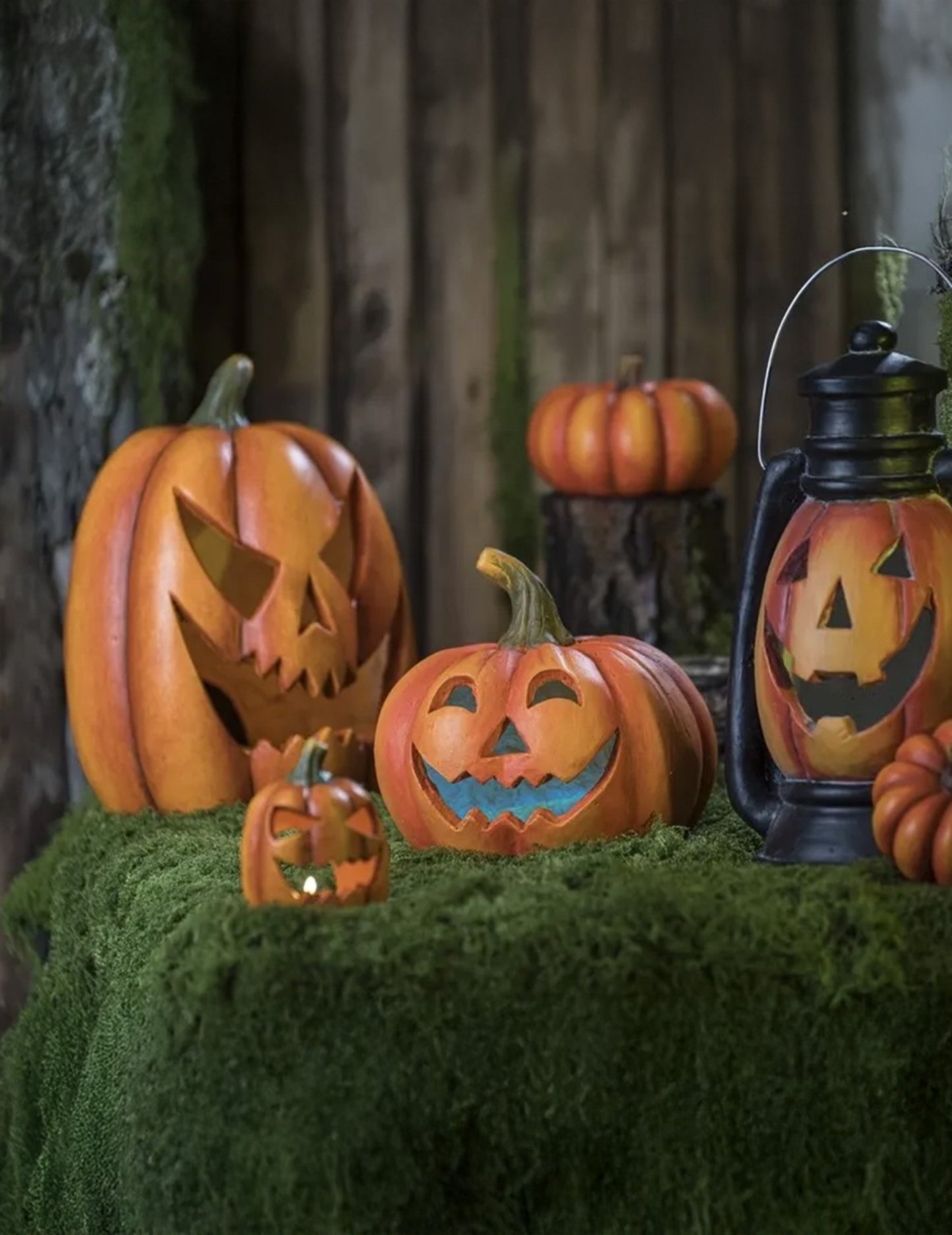 Dovleac Terifiant 36 cm