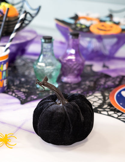 Dovleac de catifea neagra 10 cm