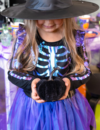 Dovleac de catifea neagra 10 cm