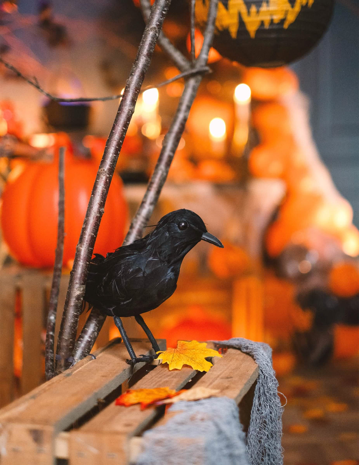Vedere din profil a corbului cu pene pentru decor de halloween