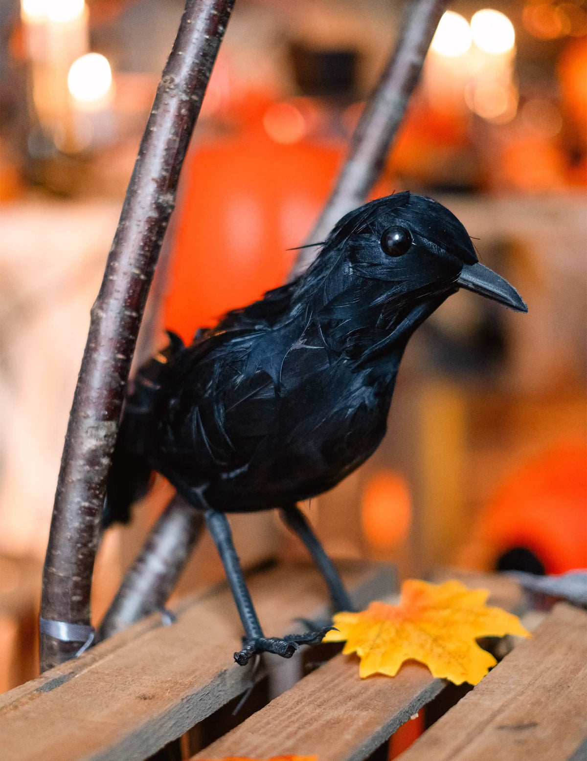 Prim-plan pe penele corbului din pene pentru decorațiuni de halloween