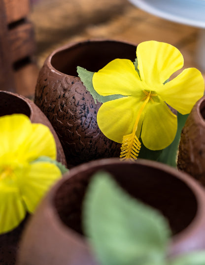 Hawaii Cup tropical nucă de cocos