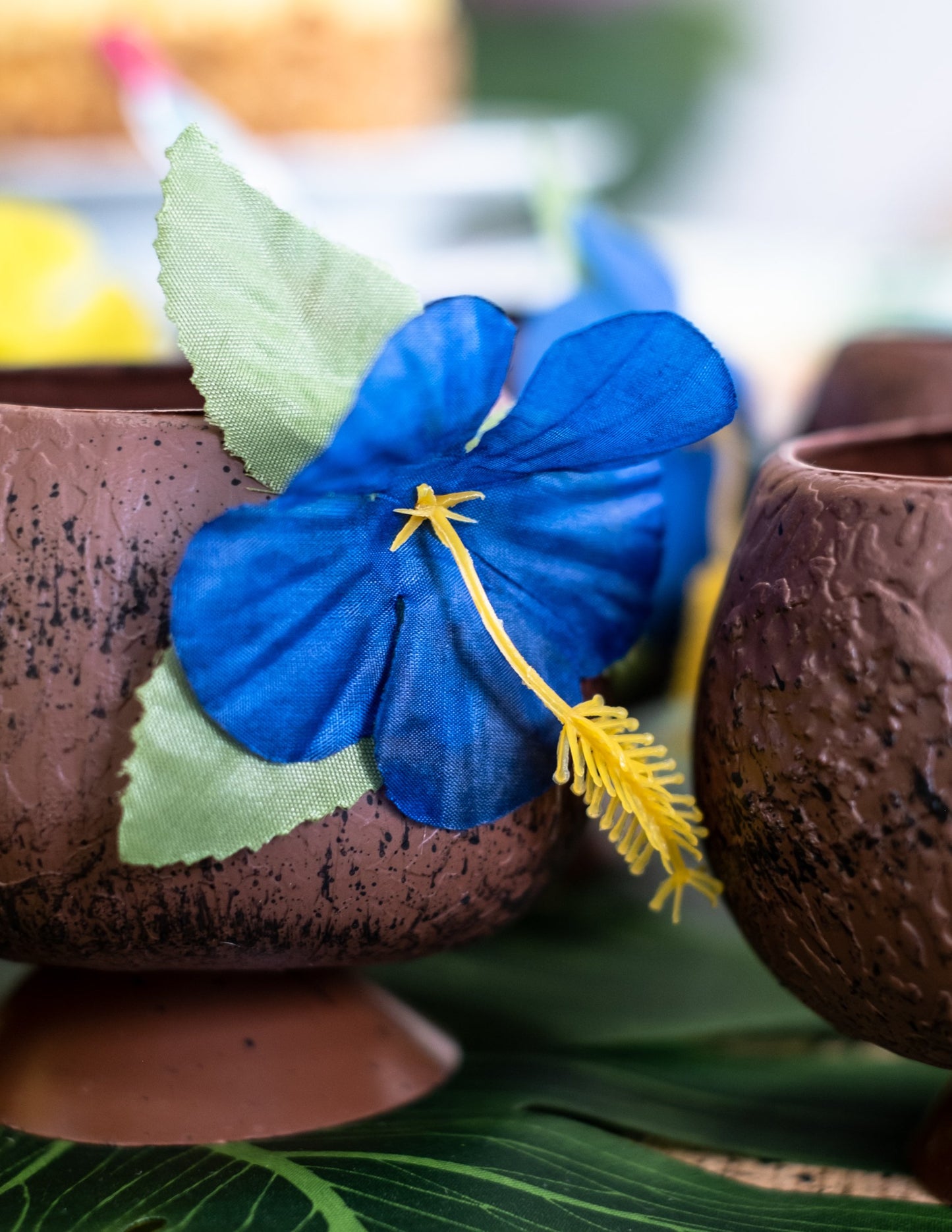 Hawaii Cup tropical nucă de cocos