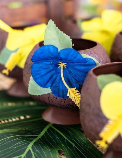 Hawaii Cup tropical nucă de cocos