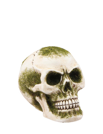 Craniu cu spumă de rășină, 7cm