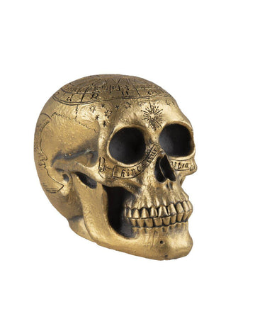 Craniu schelet cu pentagram auriu