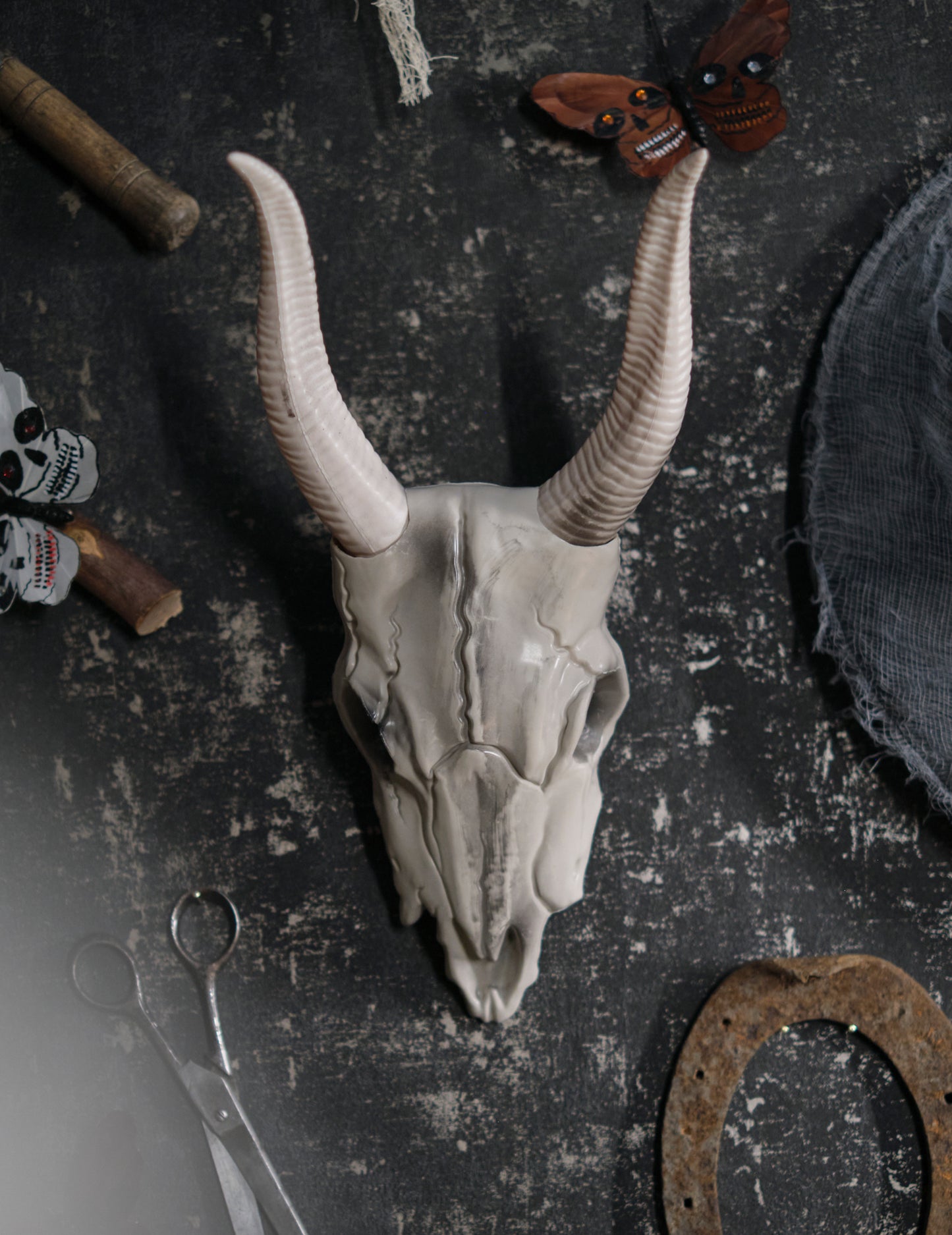 14 x 40 cm craniu de bivol