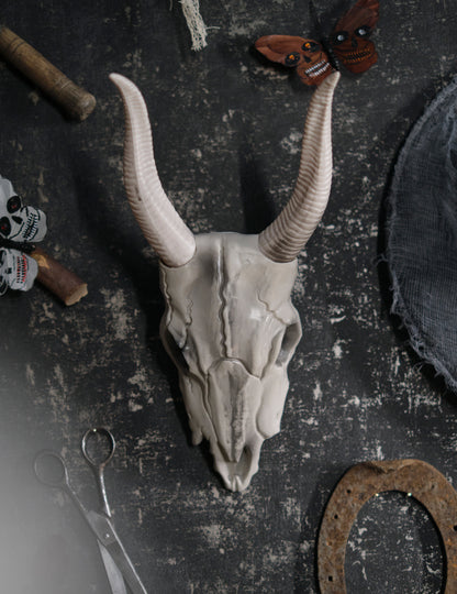 14 x 40 cm craniu de bivol