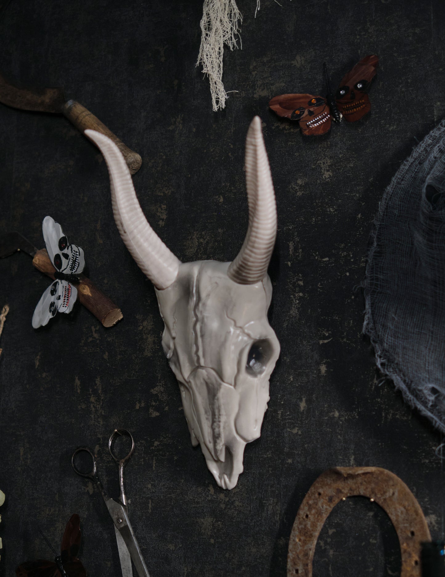 14 x 40 cm craniu de bivol