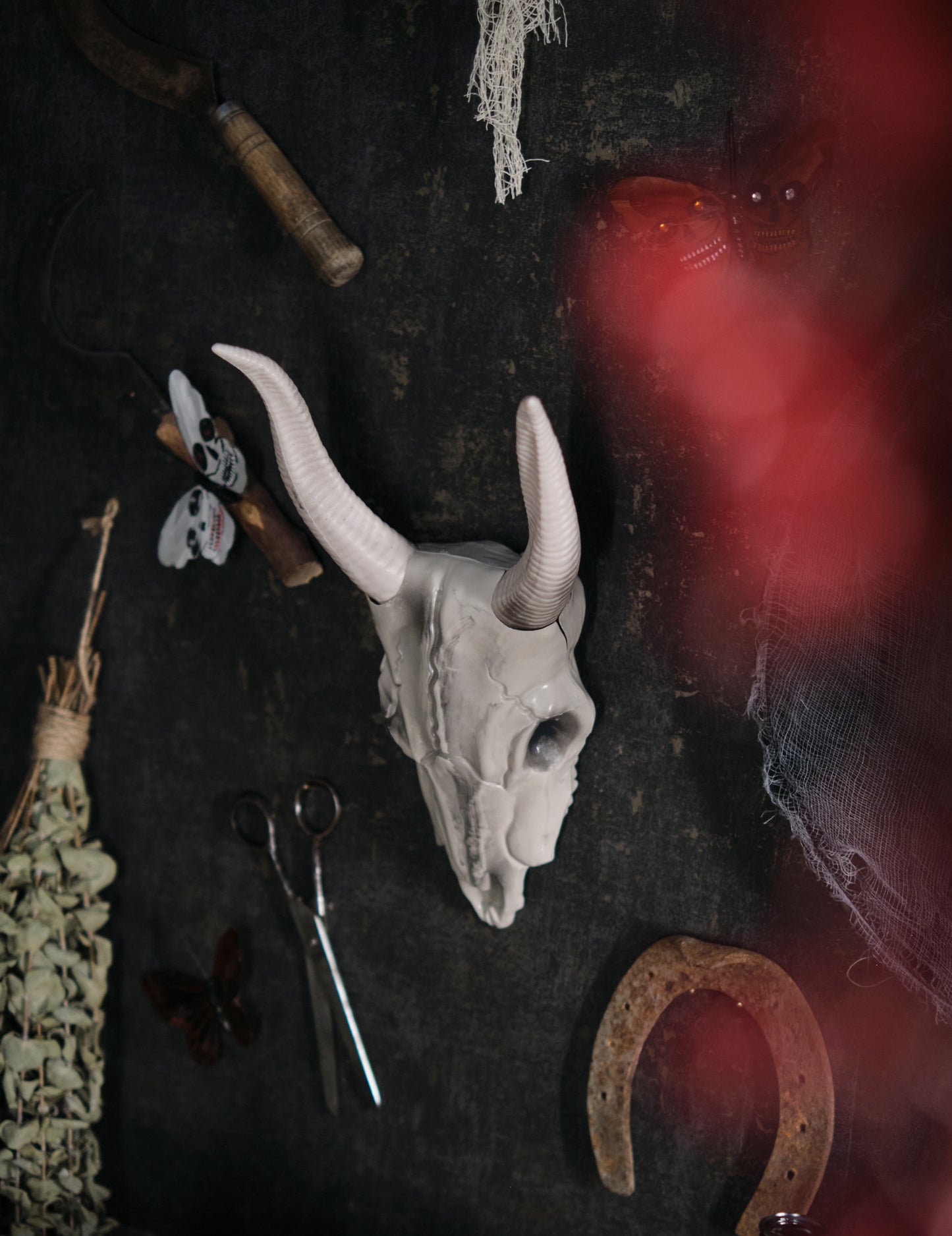 14 x 40 cm craniu de bivol