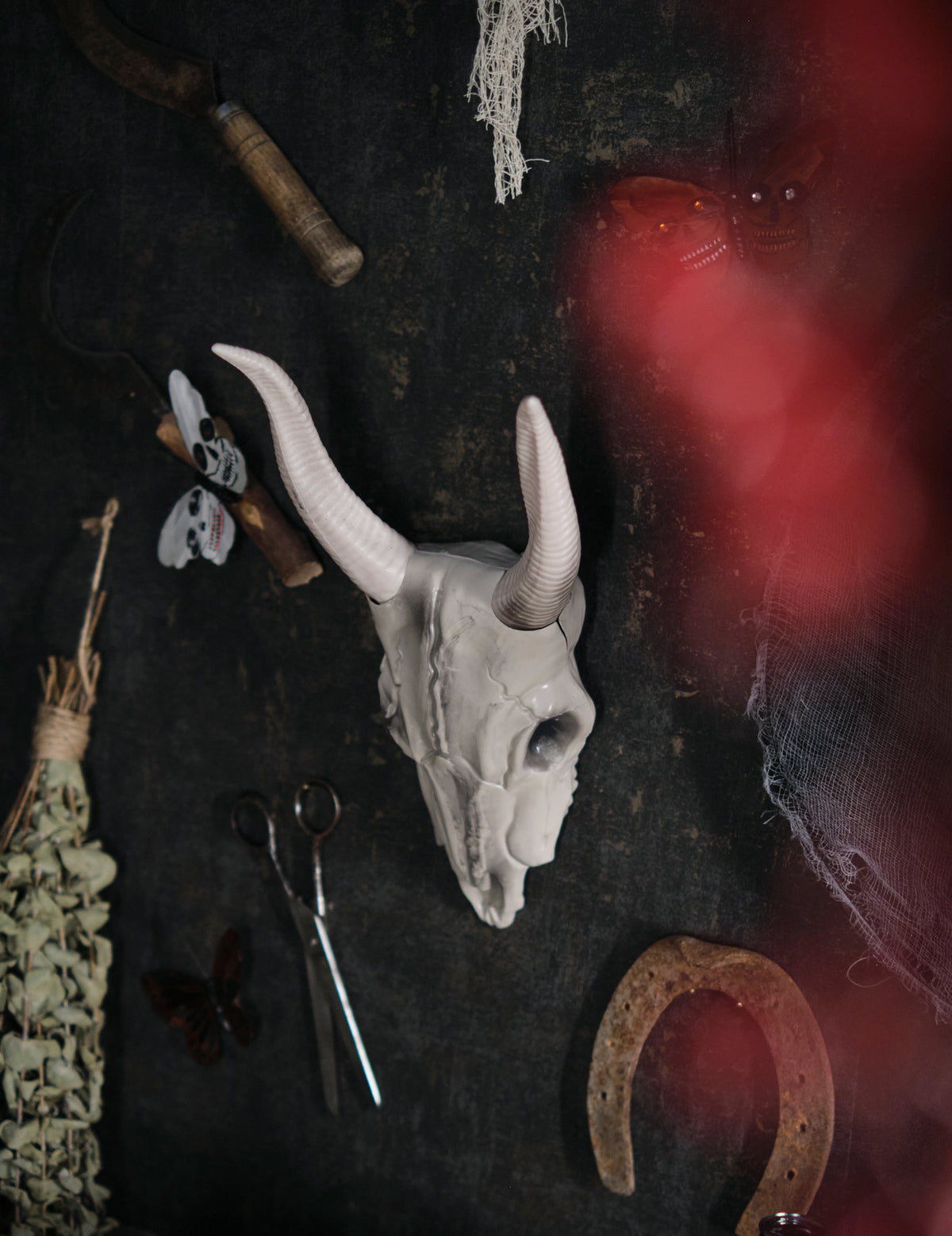 Vue de profil du crâne tête de buffle pour décoration