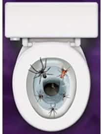 Aplicare pe toaletele decorului autocolant pentru WC păianjeni