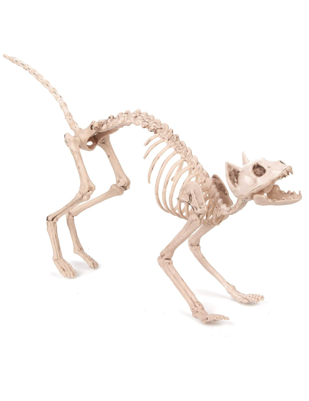 Decorațiune halloween pisici schelet bej cu spatele arcuit