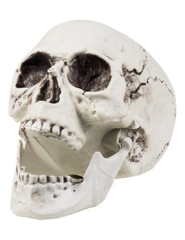Decorare a craniului 24 x 18 cm Halloween