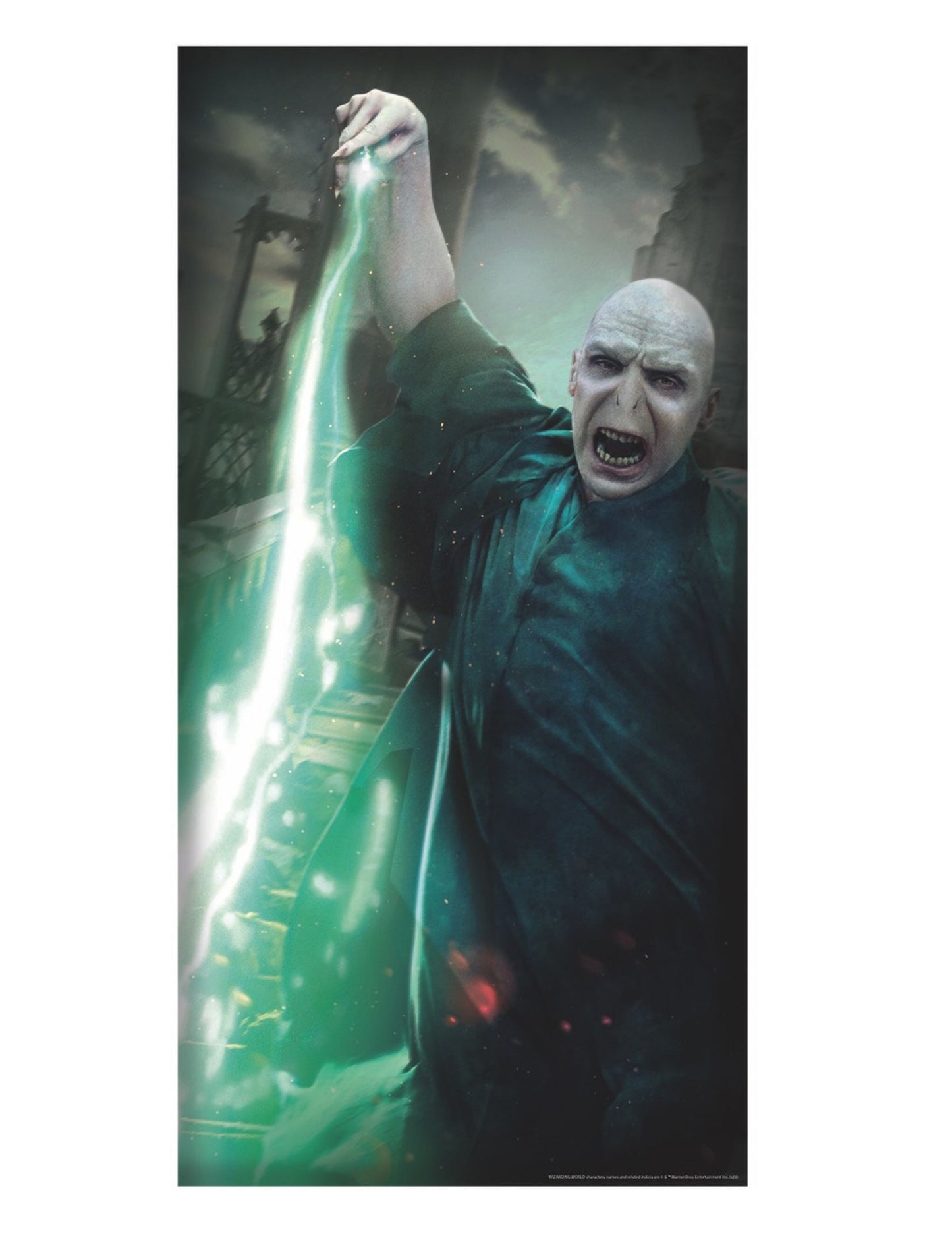 Decorarea ușii Voldemort Harry Potter