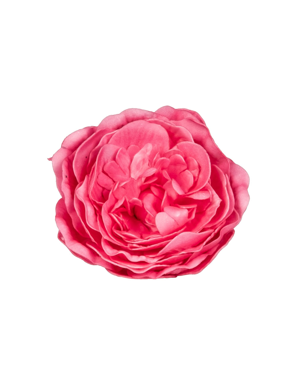 Décoration de table rose ancienne fuchsia vintage