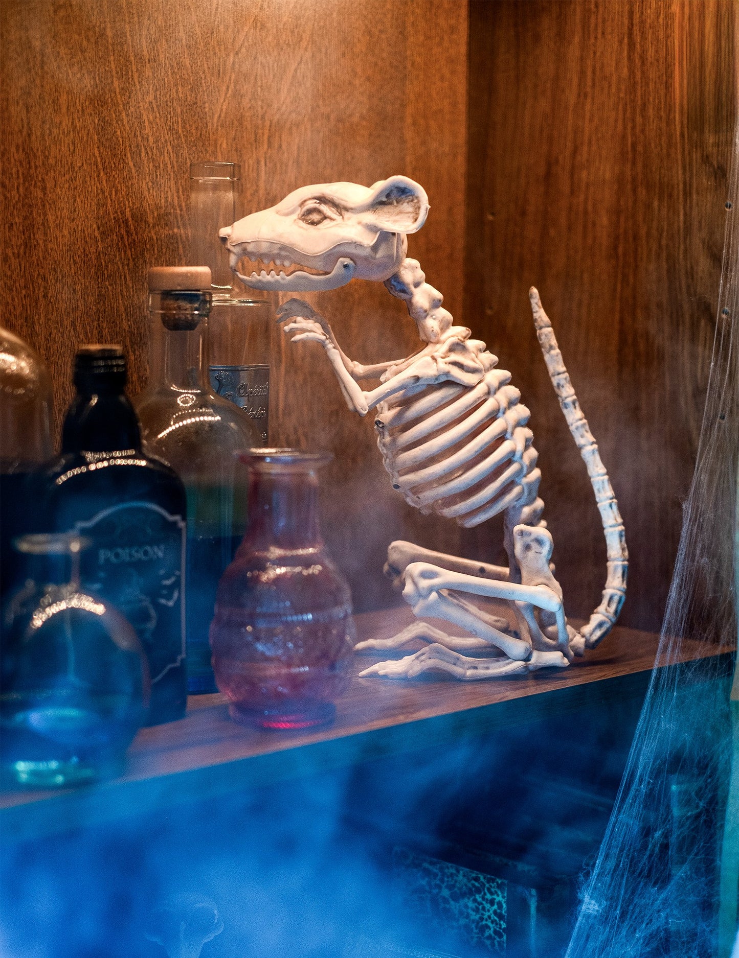 Decorarea scheletului de șobolan de Halloween