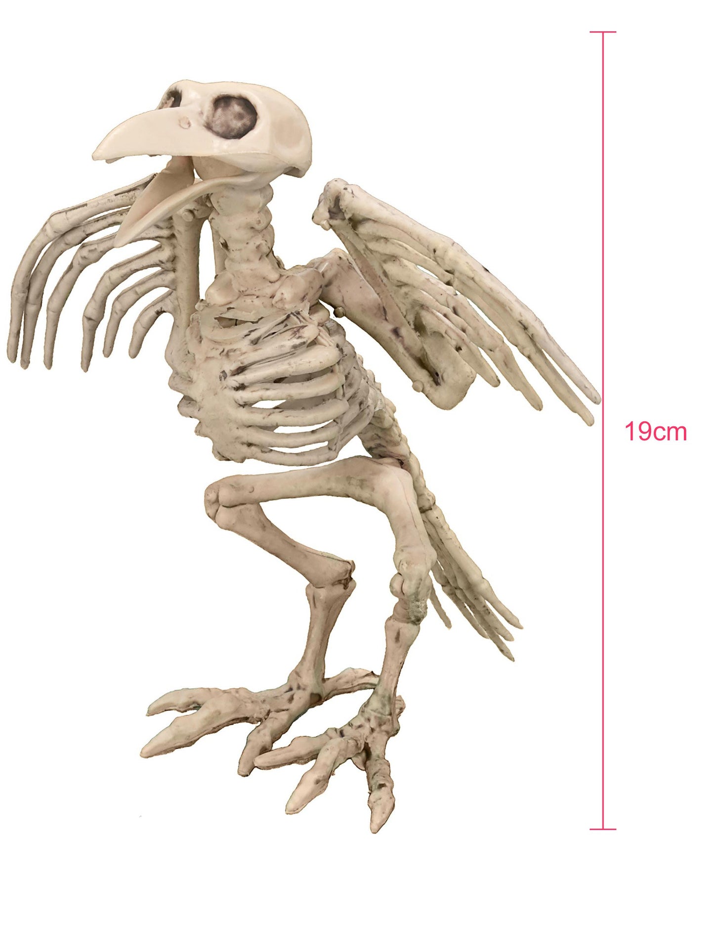 Corbeau Scheleton Decoration 19,5 cm Halloween