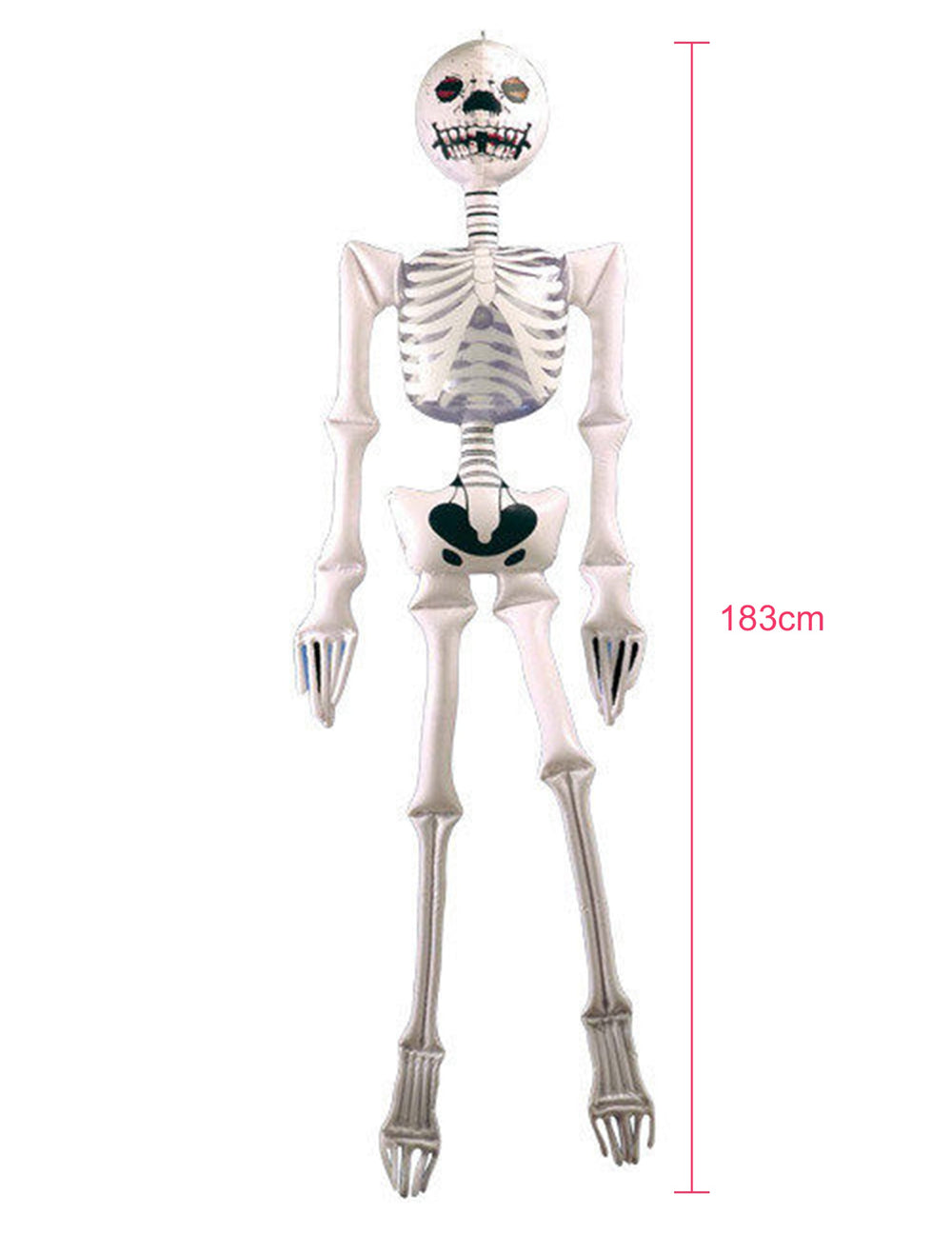 Vue d'ensemble avec dimensions de la décoration gonflable squelette pour Halloween