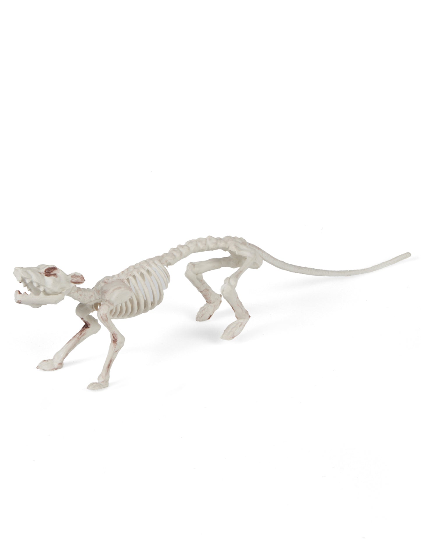 Decorare schelet de șobolan 16 x 23 cm Halloween