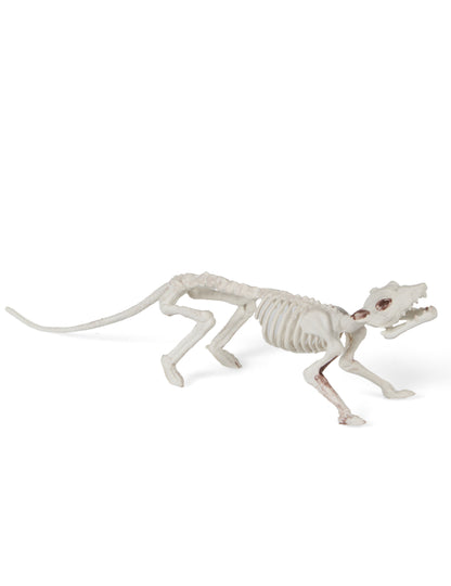 Decorare schelet de șobolan 16 x 23 cm Halloween